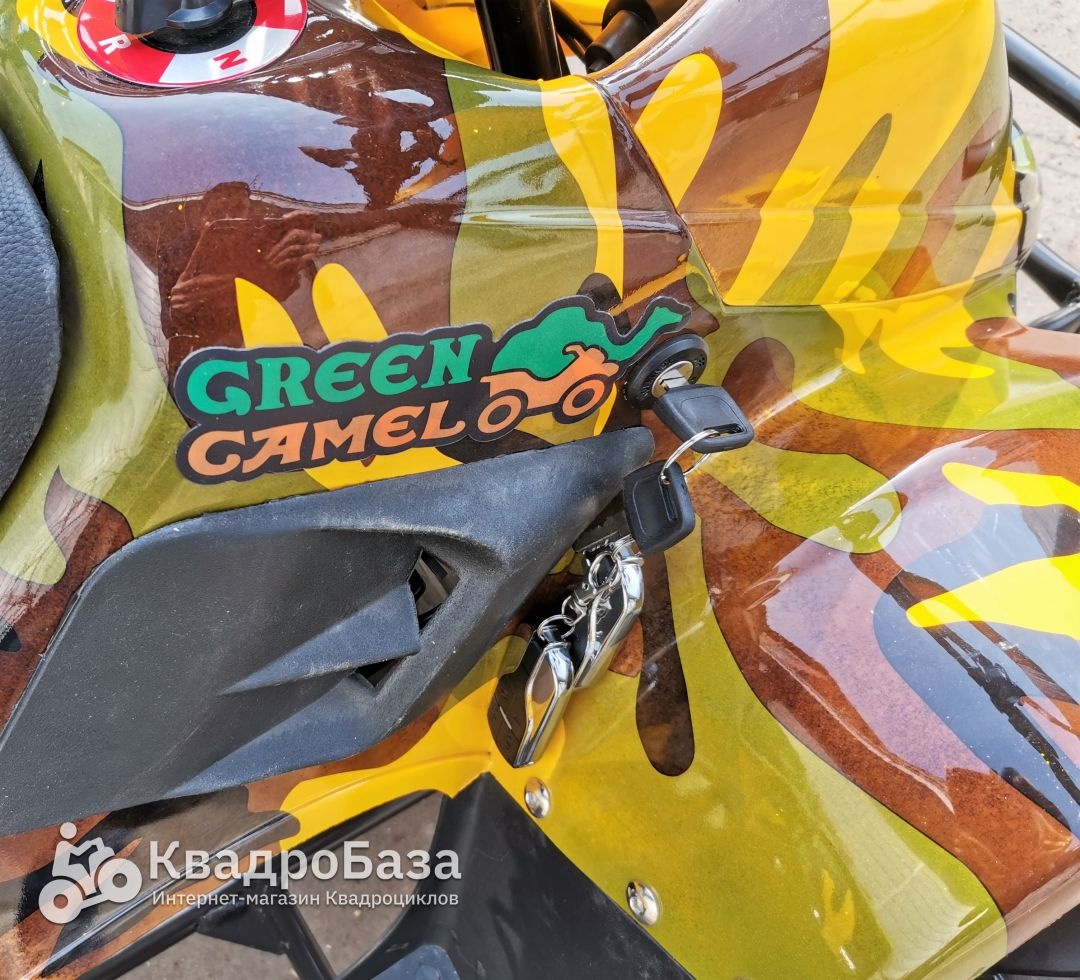Детский электроквадроцикл GreenCamel Gobi K600