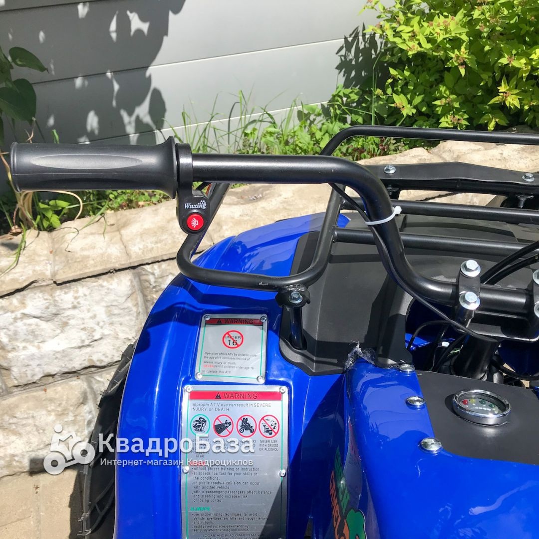 Электрический квадроцикл GreenCamel Sahara A1520