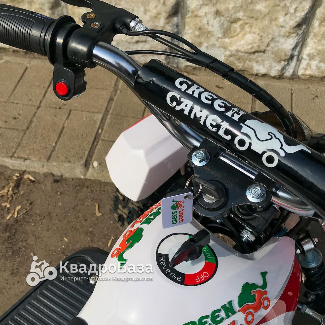Электроквадроцикл детский GreenCamel GOBI K12