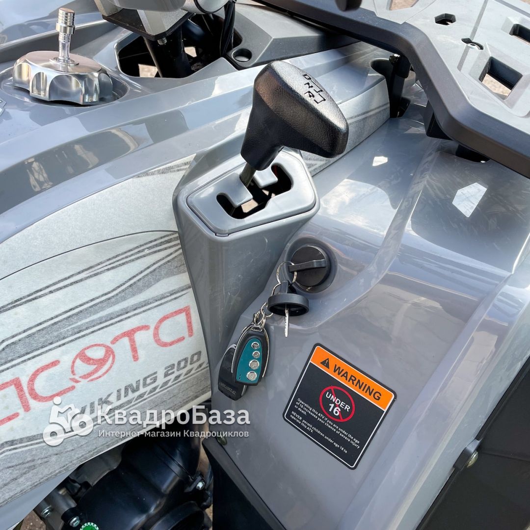 Квадроцикл YACOTA VIKING 200