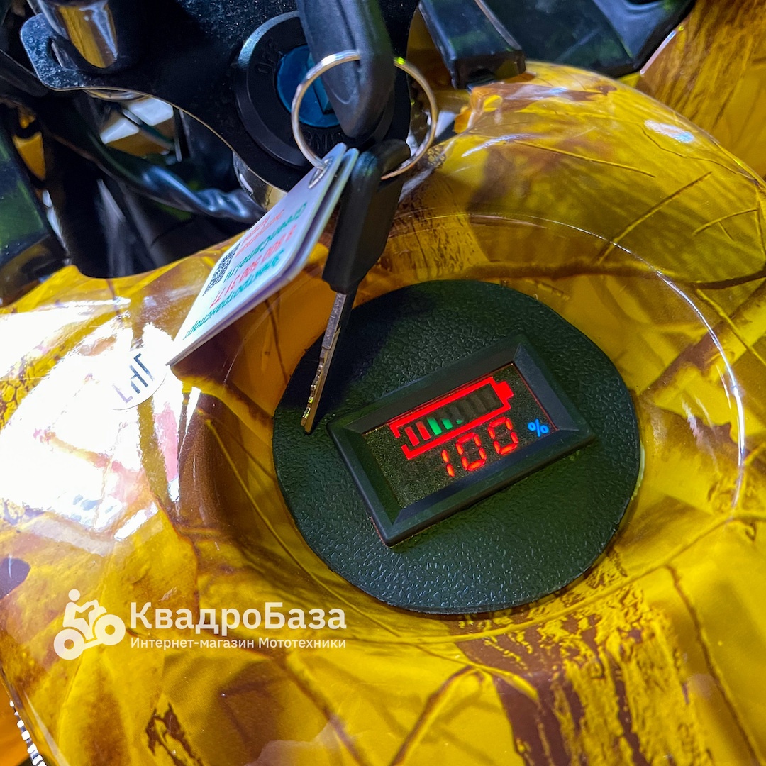 Электрический квадроцикл GreenCamel Атакама T401L (60V 1200W R8 Дифф Литий) пониженная