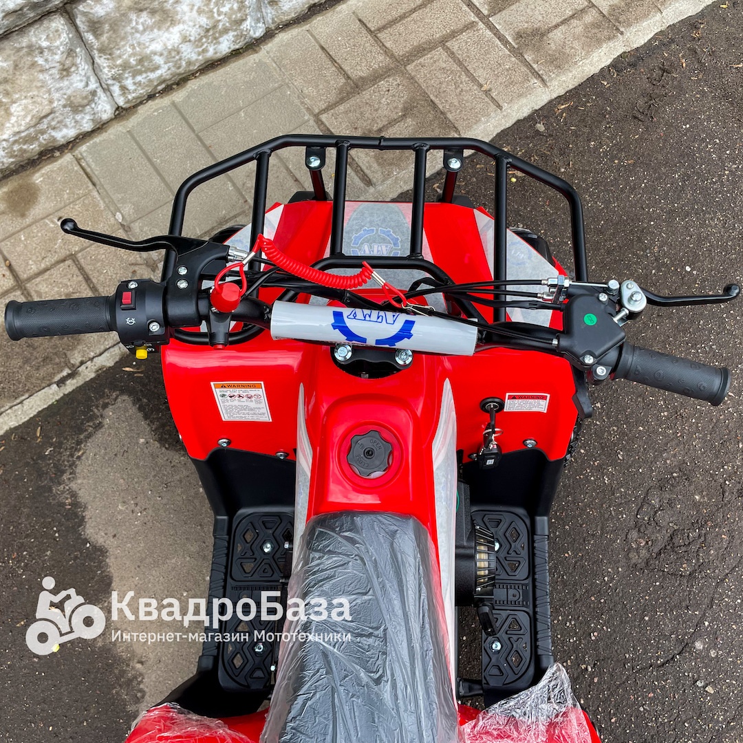 Детский бензиновый квадроцикл ATV Basic X-16 E-start