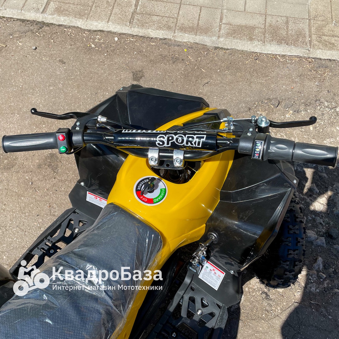 Детский электроквадроцикл MOTAX ATV CAT 1000W