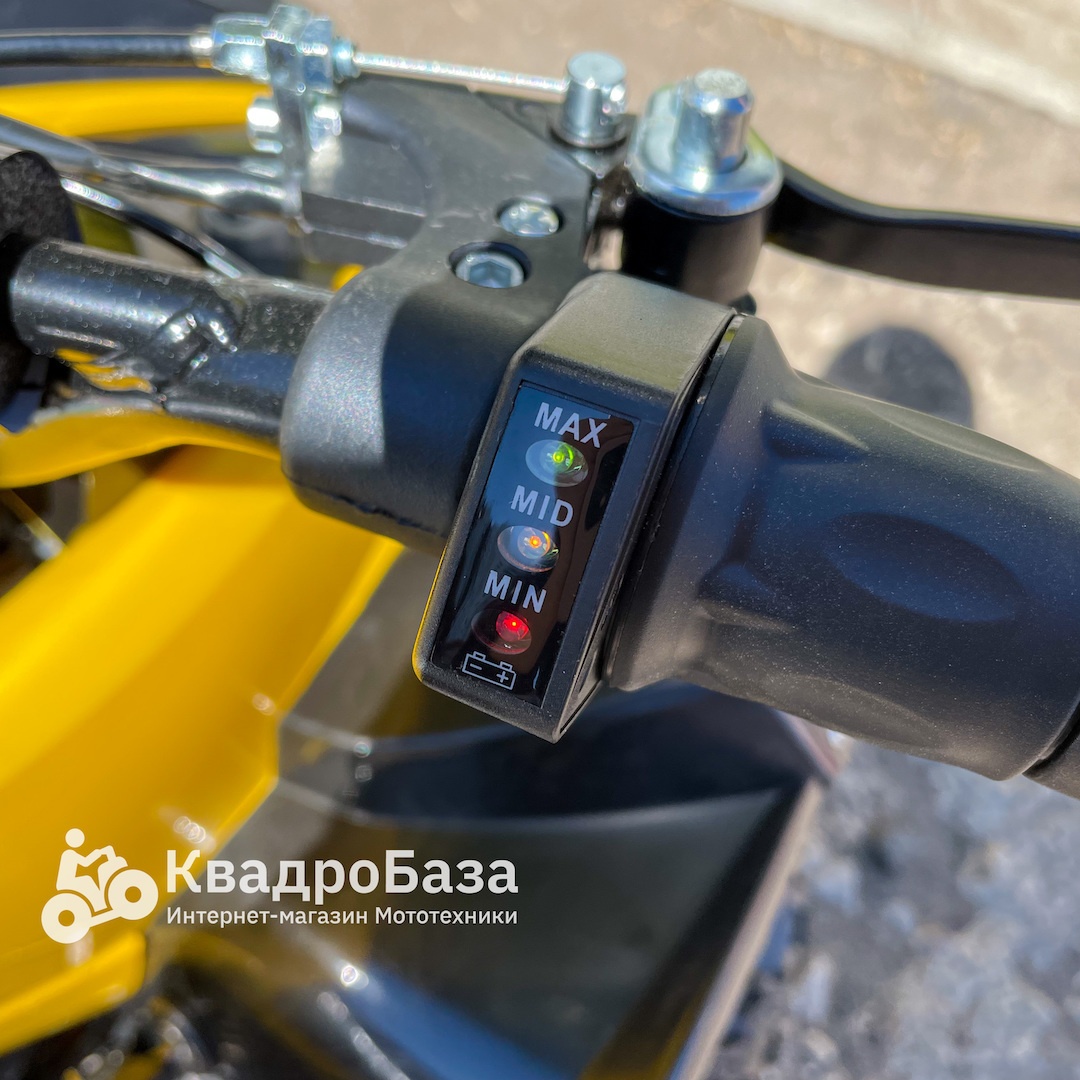 Детский электроквадроцикл MOTAX ATV CAT 1000W