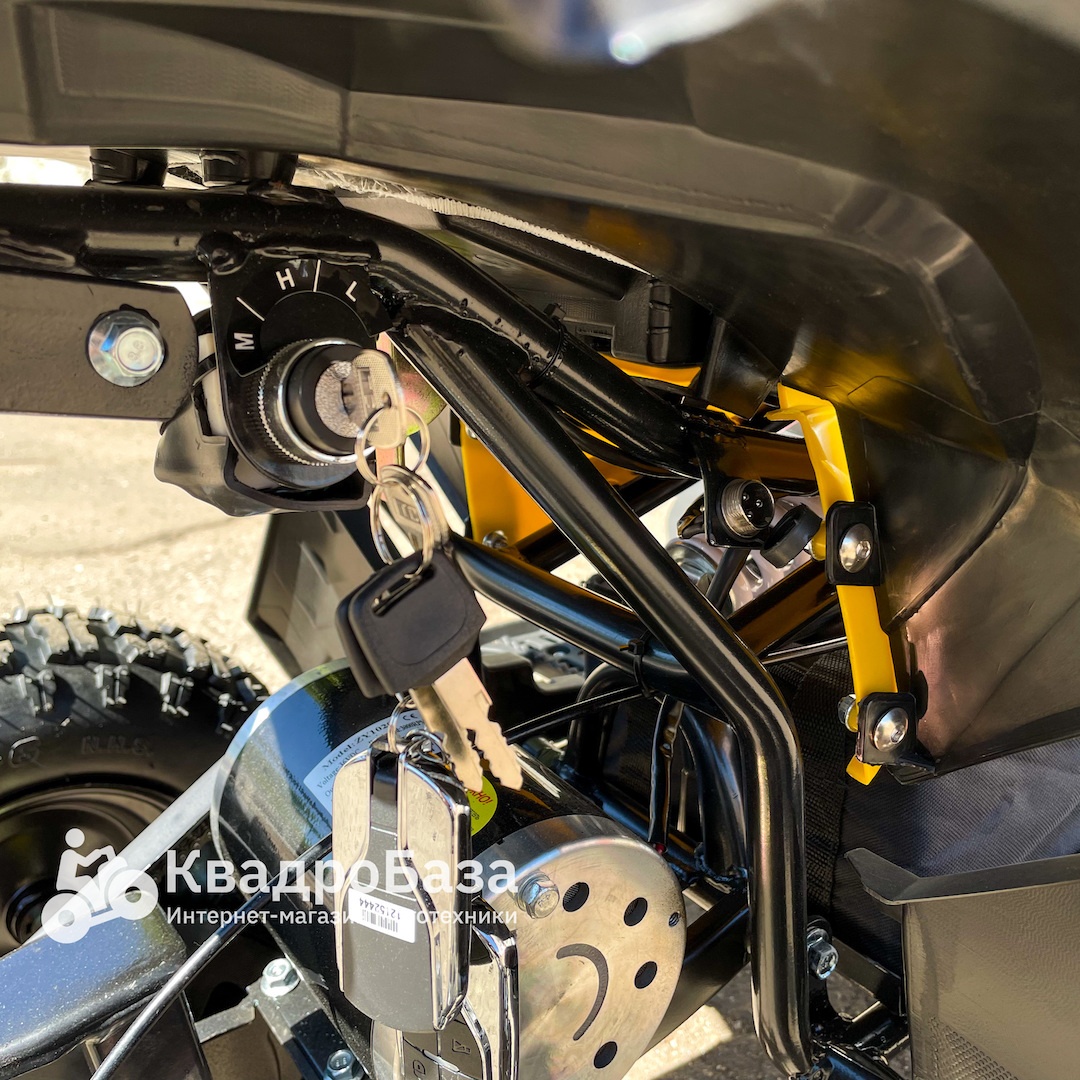 Детский электроквадроцикл MOTAX ATV CAT 1000W