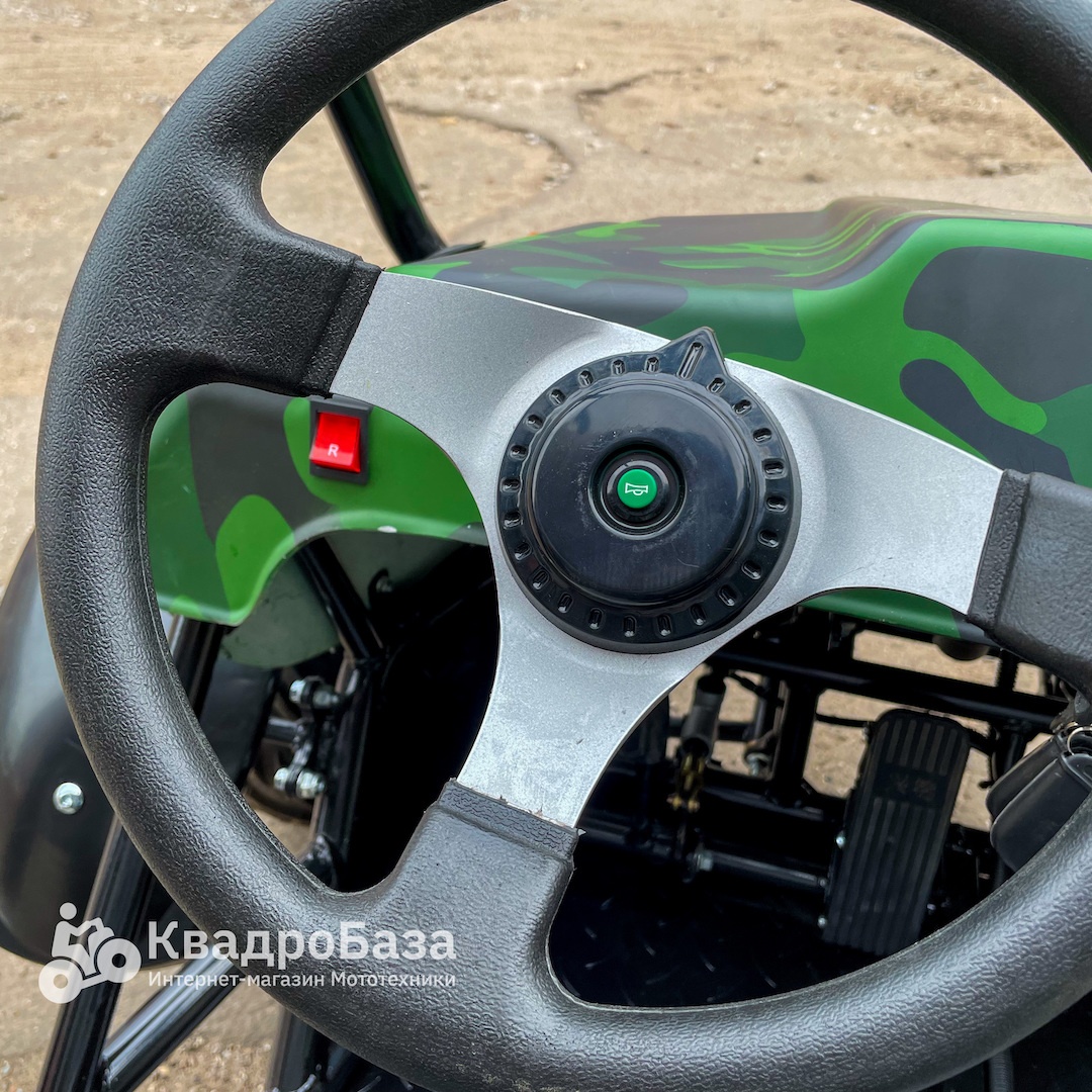 Багги GreenCamel Намиб T009 60V 1500W