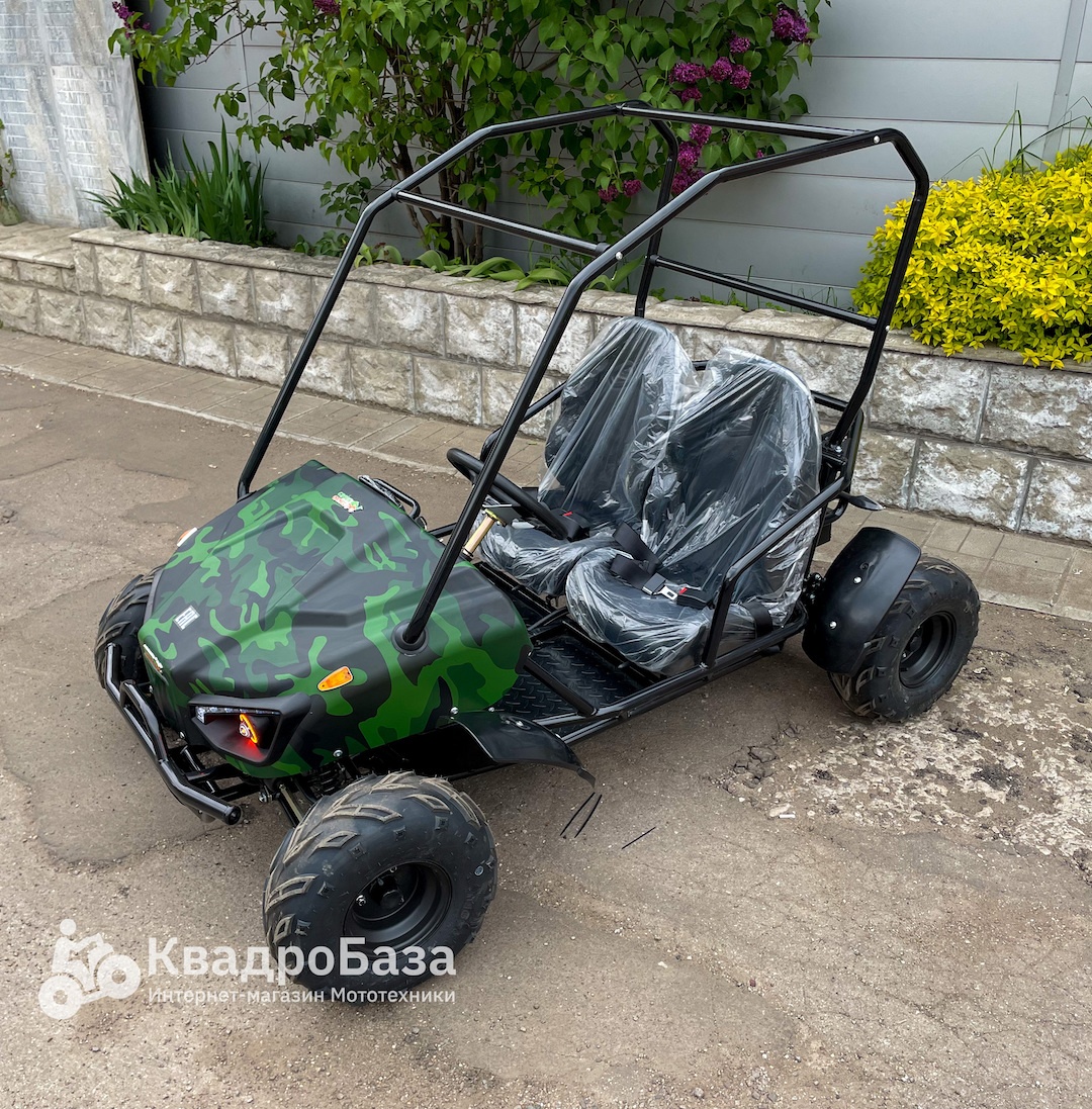 Багги GreenCamel Намиб T009 60V 1500W