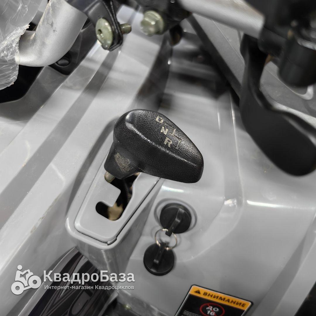 Квадроцикл YACOTA VIKING LONG 250