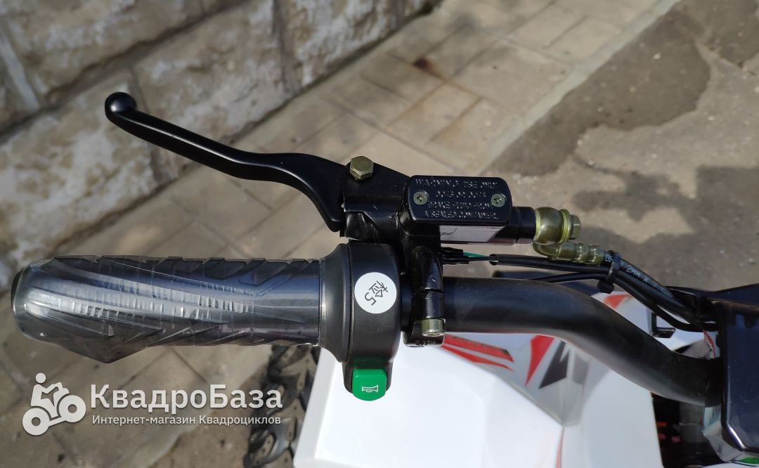 Детский электроквадроцикл Motax Gekkon 1300W