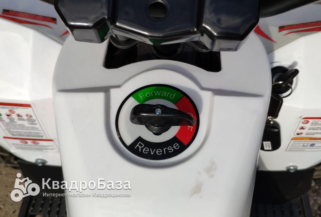 Детский электроквадроцикл Motax Gekkon 1300W