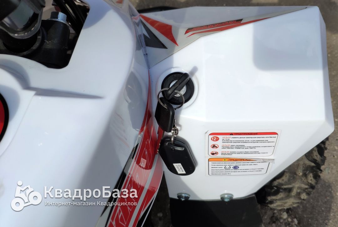 Детский электроквадроцикл Motax Gekkon 1300W