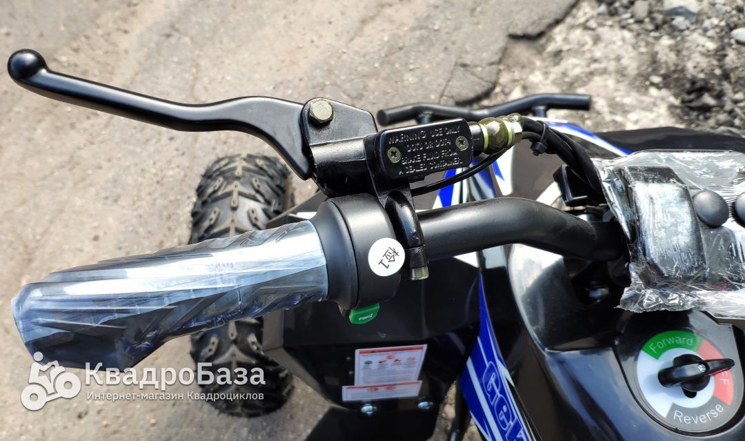 Детский электроквадроцикл Motax Gekkon 1300W