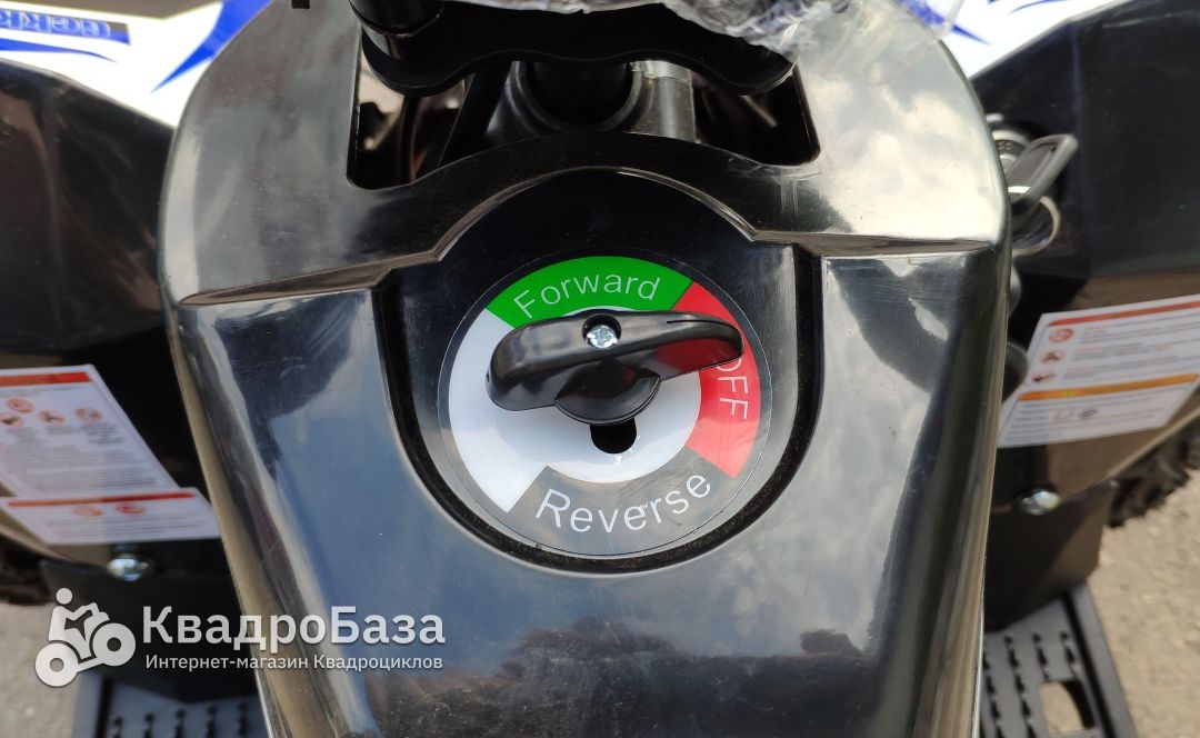 Детский электроквадроцикл Motax Gekkon 1300W