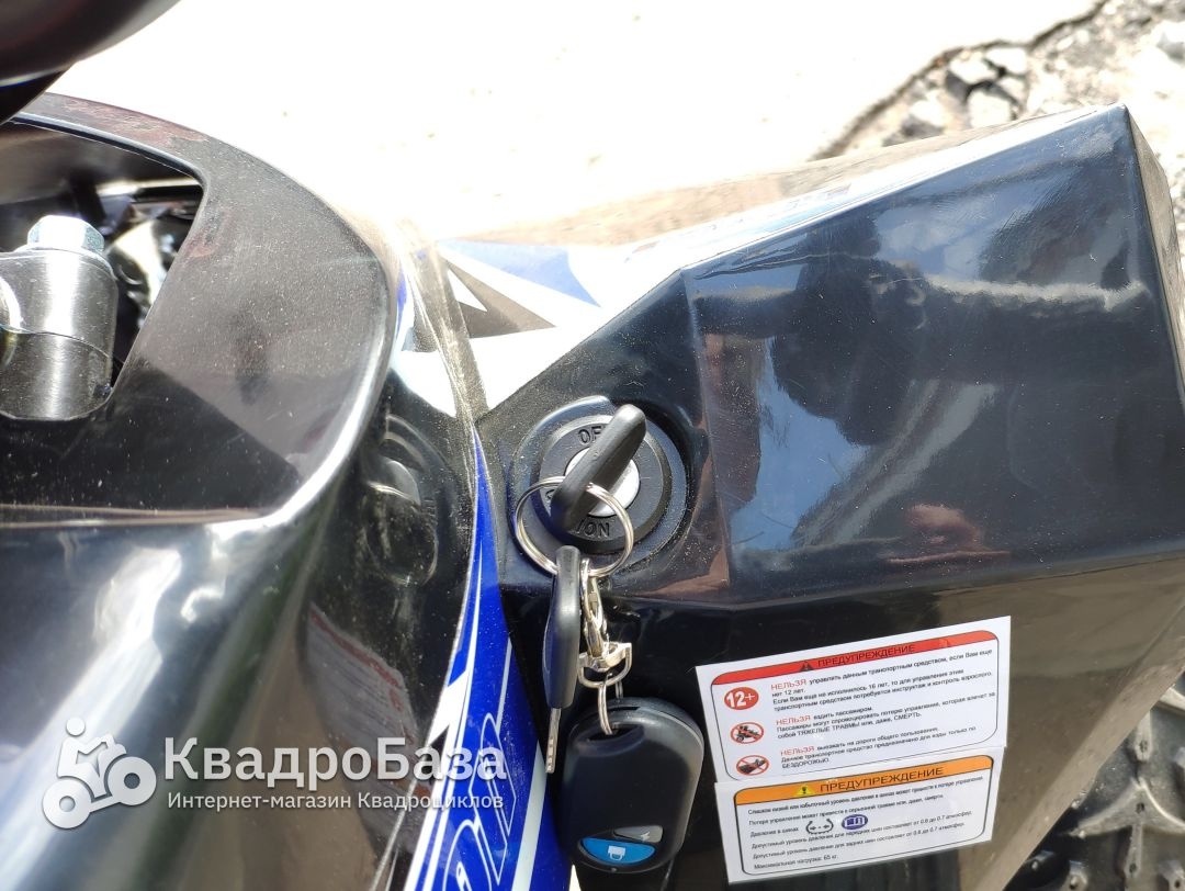 Детский электроквадроцикл Motax Gekkon 1300W