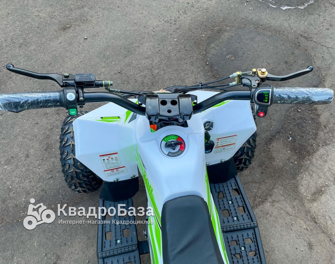 Детский электроквадроцикл Motax Gekkon 1300W