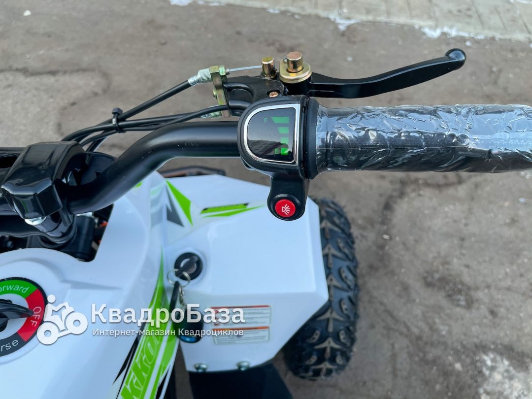 Детский электроквадроцикл Motax Gekkon 1300W