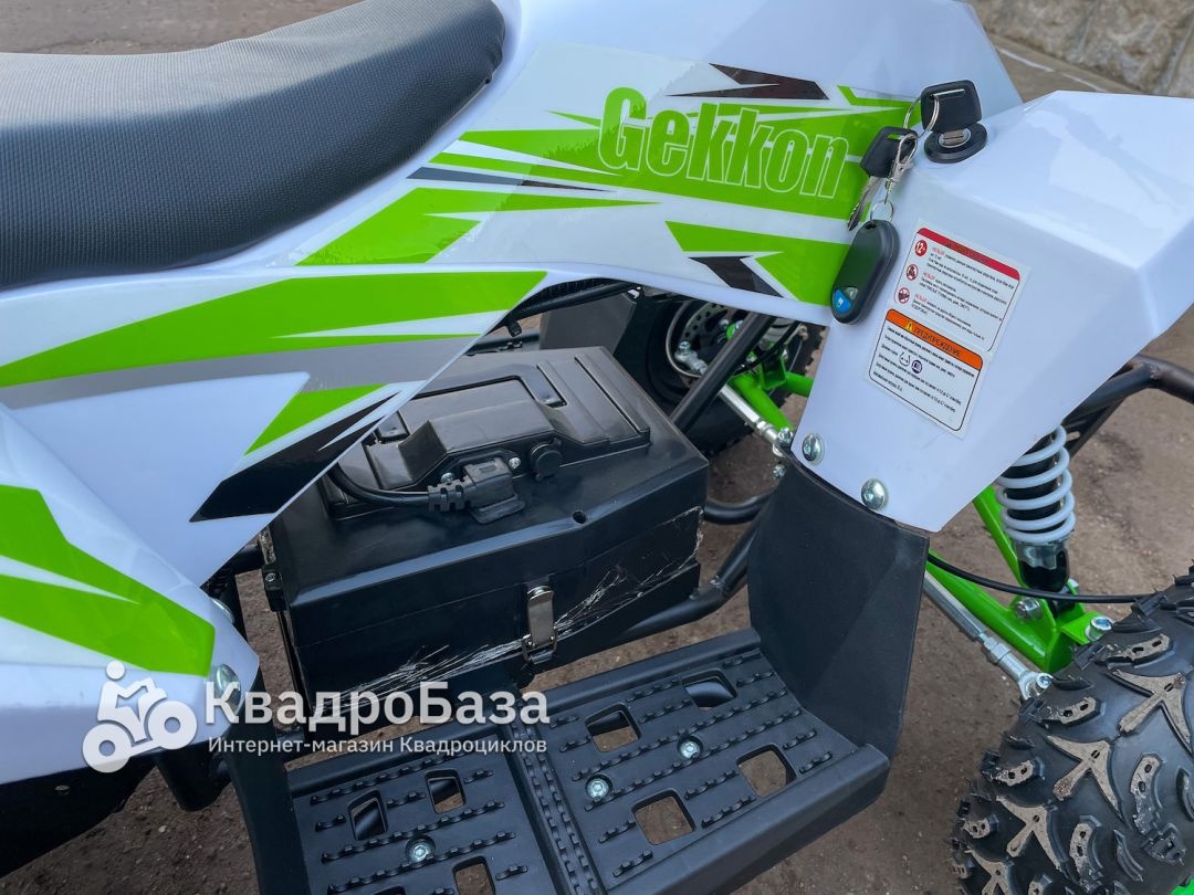 Детский электроквадроцикл Motax Gekkon 1300W