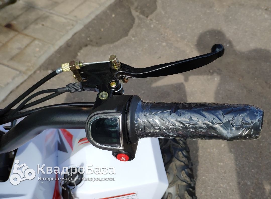 Детский электроквадроцикл Motax Gekkon 1300W