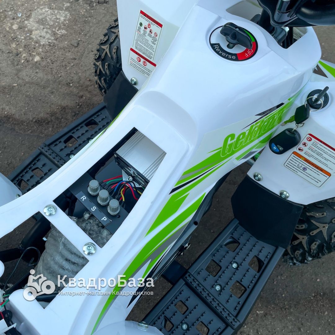 Детский электроквадроцикл Motax Gekkon 1300W