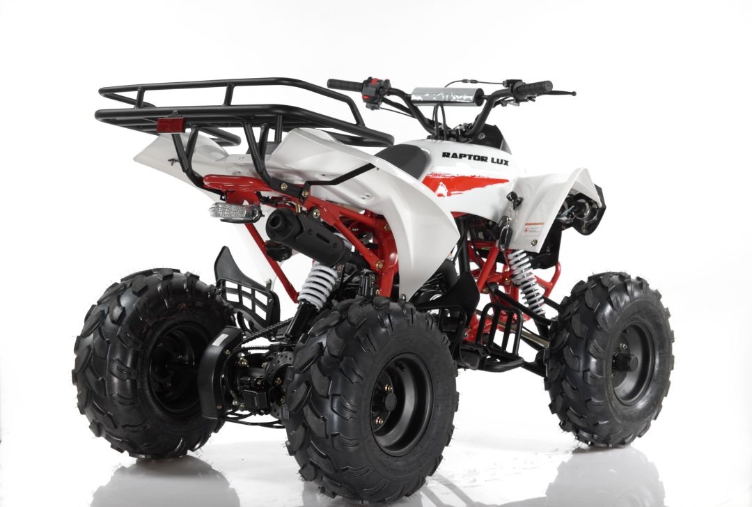 Квадроцикл Motax ATV Raptor LUX 125 сс