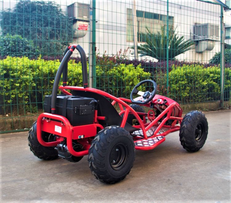 Багги GREENCAMEL Namib T007