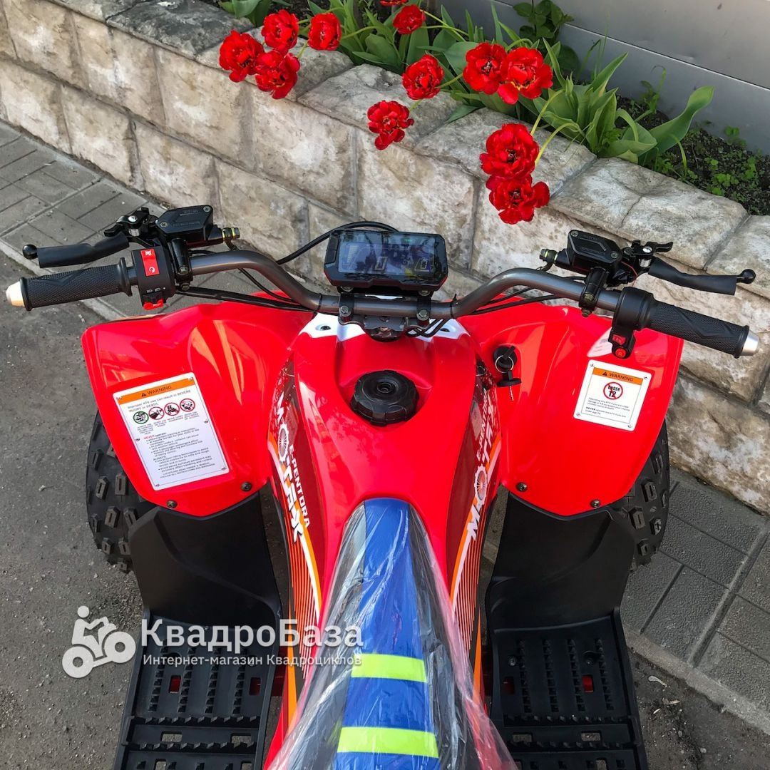 Электрический квадроцикл MOTAX E-PENTORA 1500W