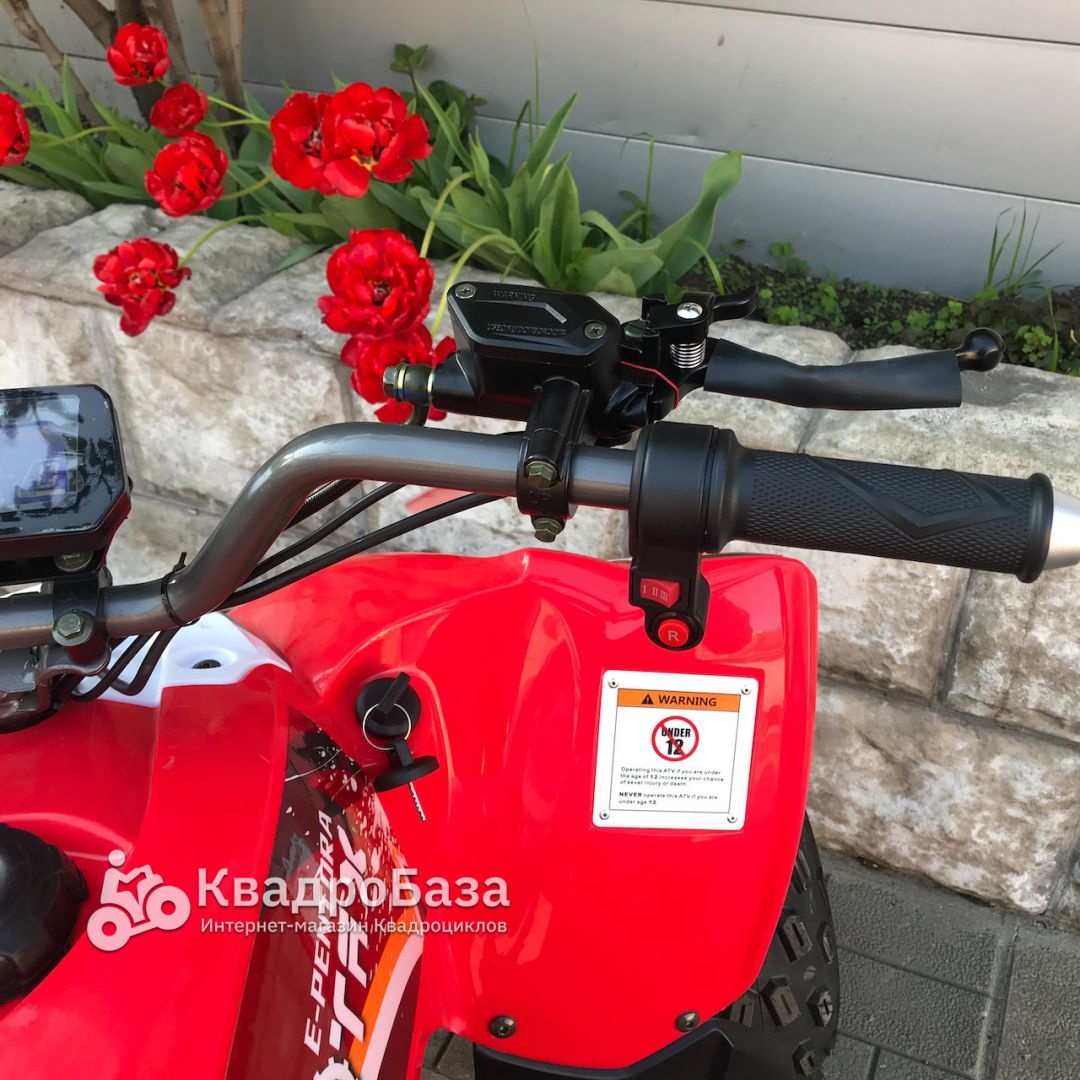 Электрический квадроцикл MOTAX E-PENTORA 1500W