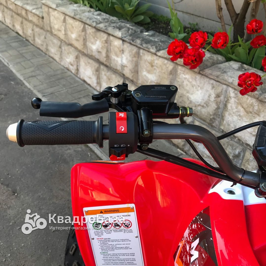 Электрический квадроцикл MOTAX E-PENTORA 1500W