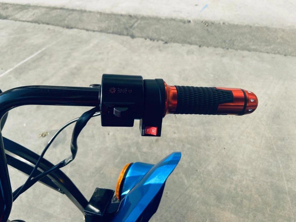 Трицикл пассажирский GreenCamel Пони Рикша (48V 1000W 30 км/ч)