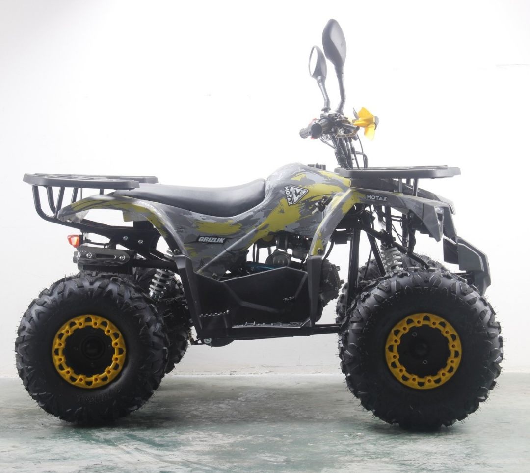 Grizlik lux. MOTAX Grizlik super Lux 125. MOTAX Raptor 125 2018. Grizlik 8 квадроцикл. Квадроцикл за 125 рублей.