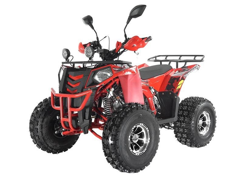 Квадроцикл Wels Thunder Evo Lux X 125