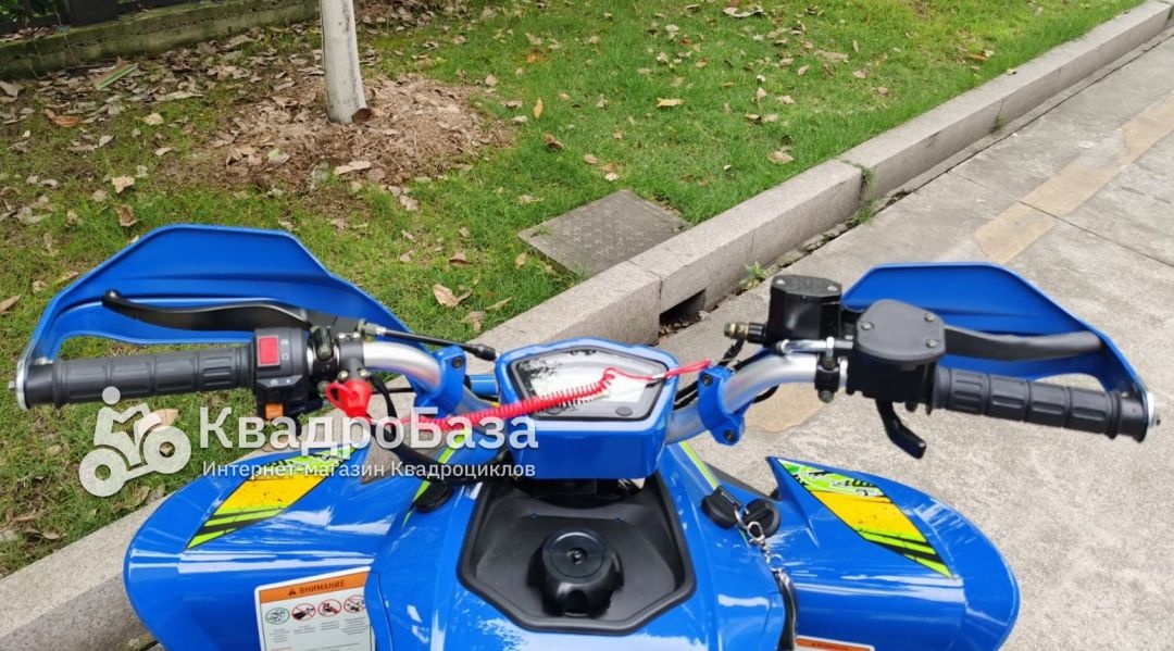 Квадроцикл бензиновый Yacota TYPHOON 250