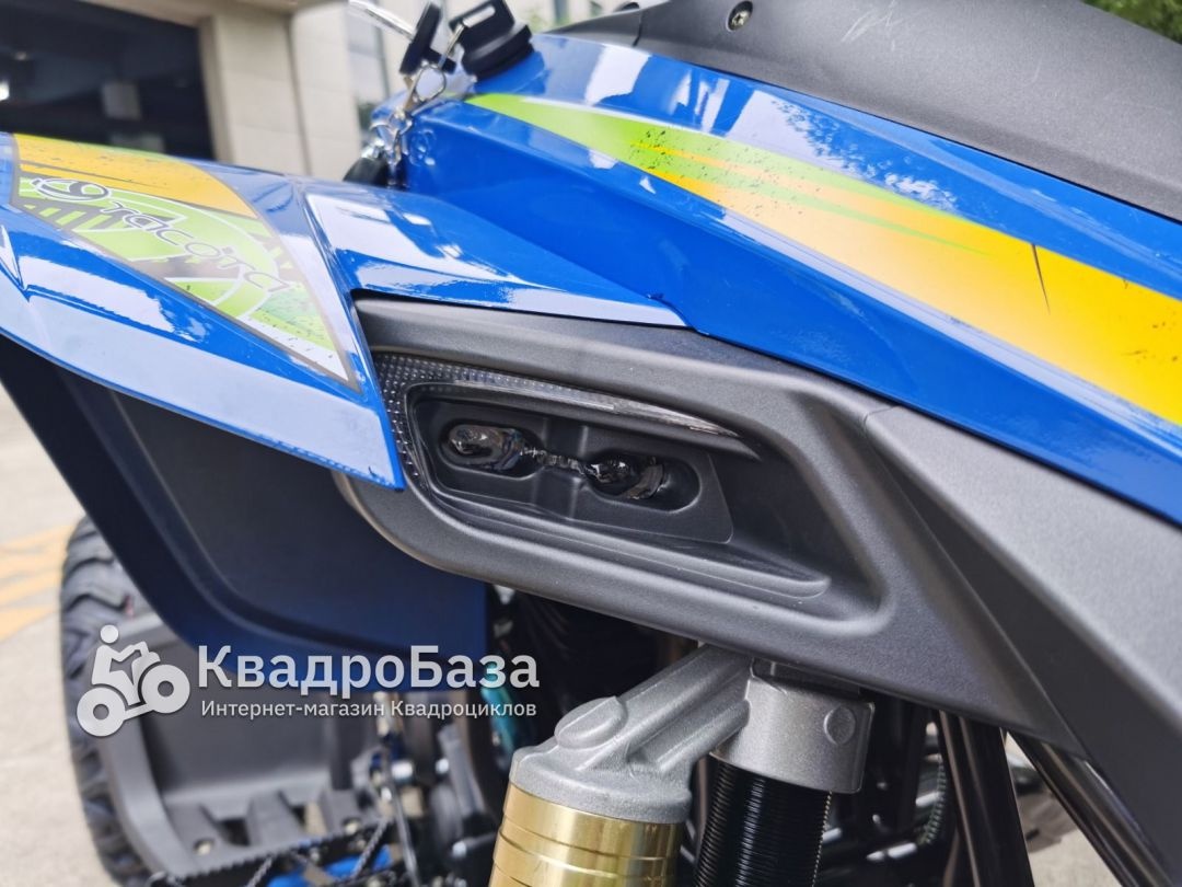 Квадроцикл бензиновый Yacota TYPHOON 250