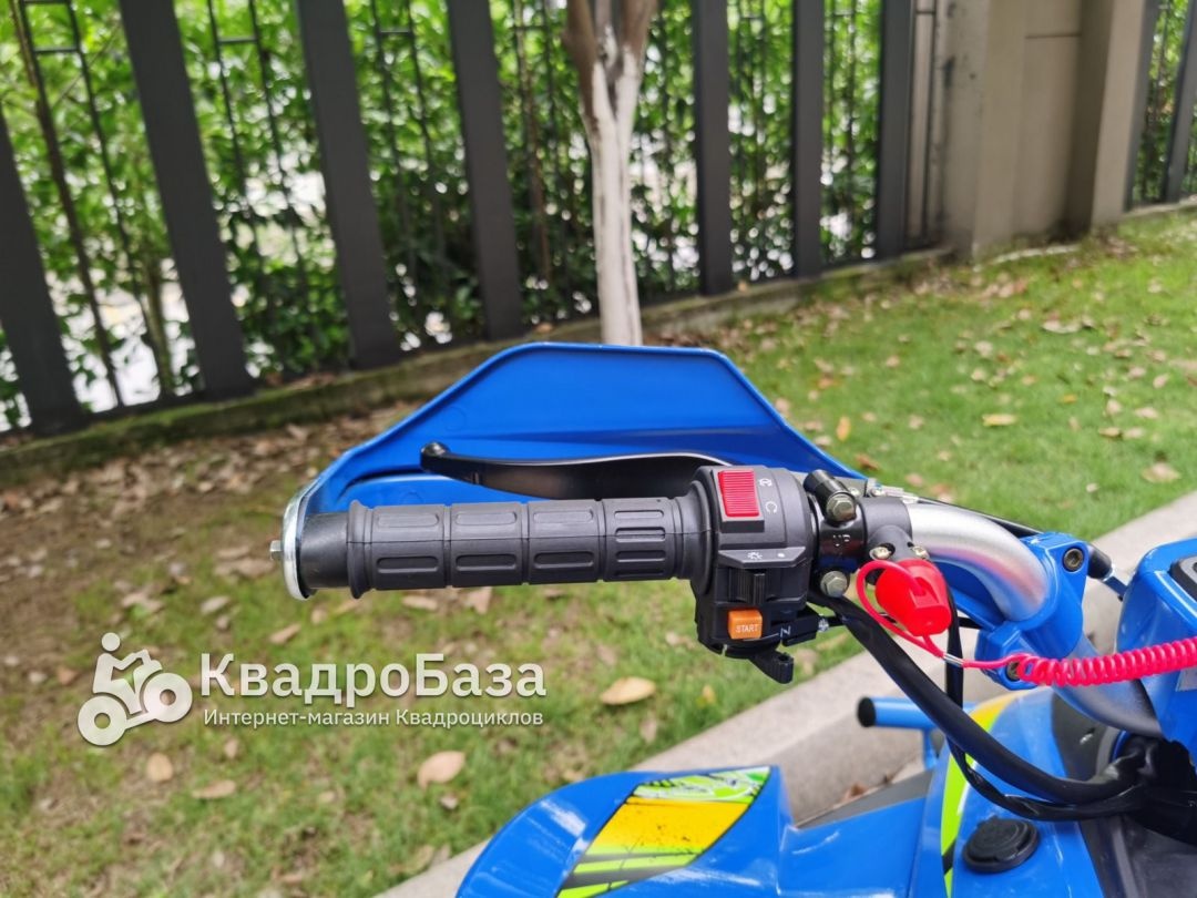 Квадроцикл бензиновый Yacota TYPHOON 250