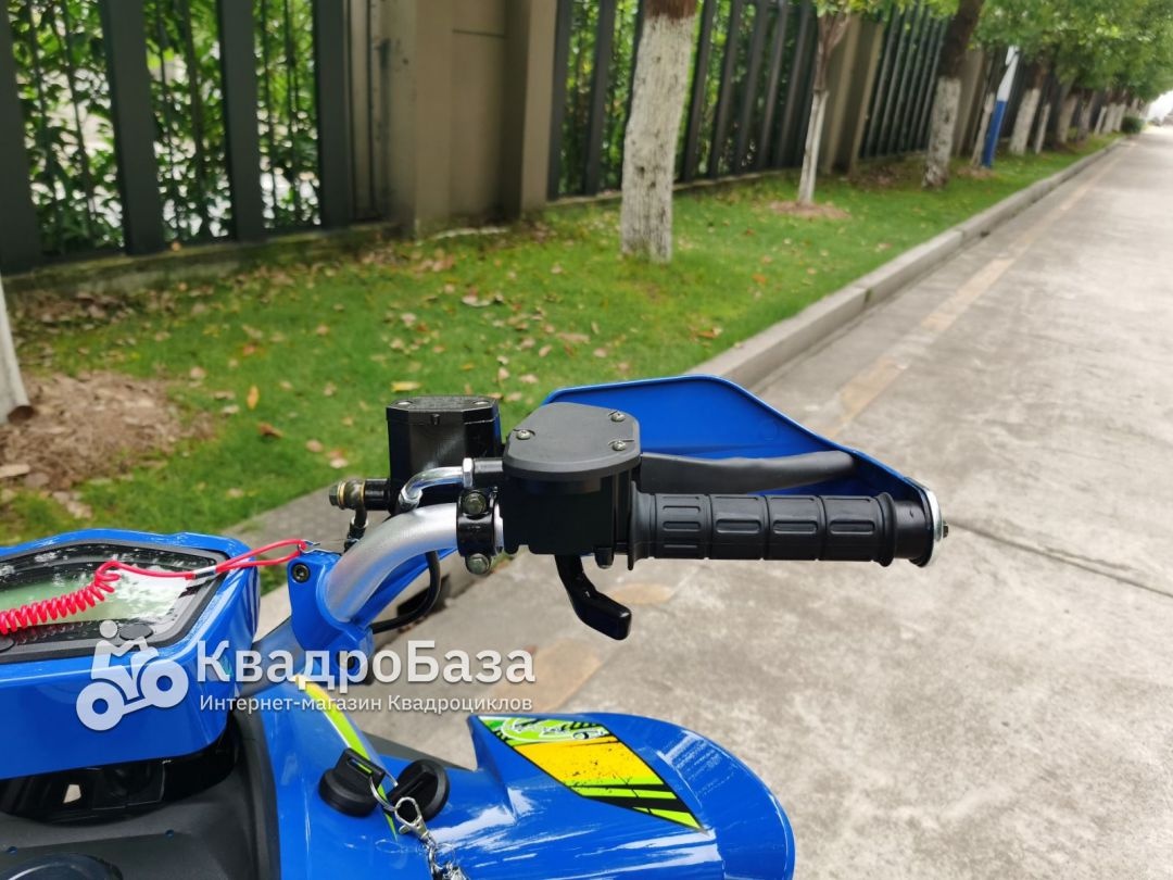 Квадроцикл бензиновый Yacota TYPHOON 250