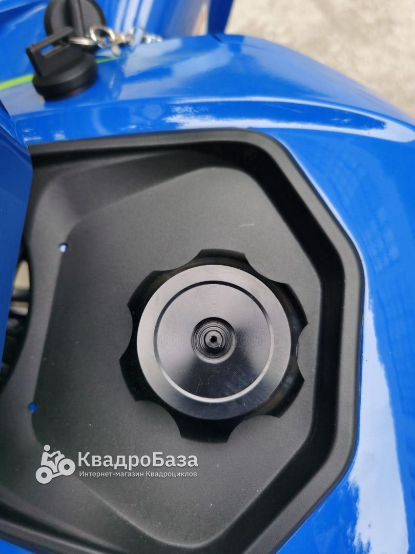 Квадроцикл бензиновый Yacota TYPHOON 250