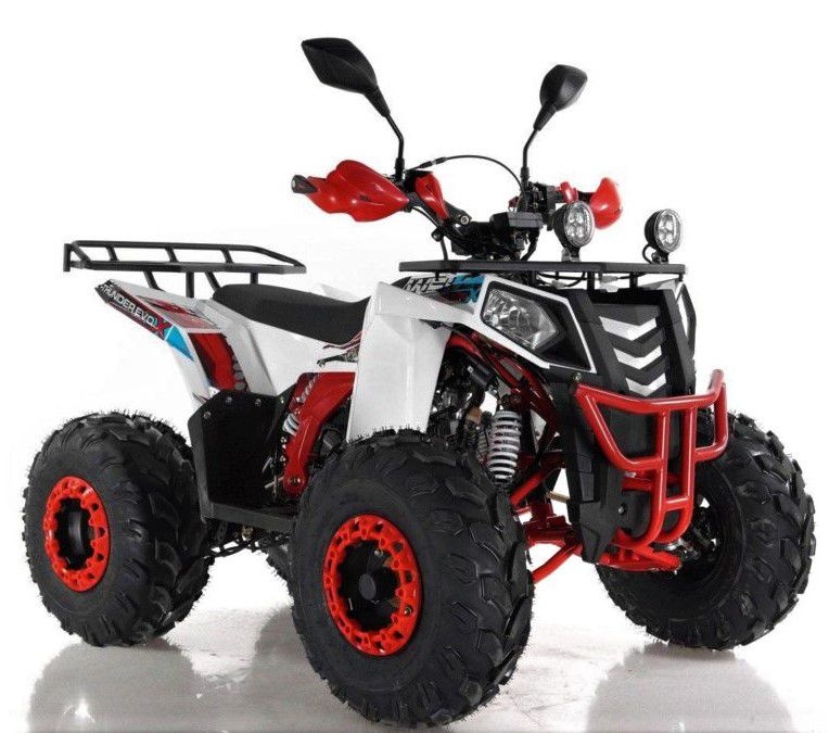 Wels trail 200. Квадроцикл wels Thunder EVO 125. Детский квадроцикл wels. Квадроцикл Motoland 125 Wild.