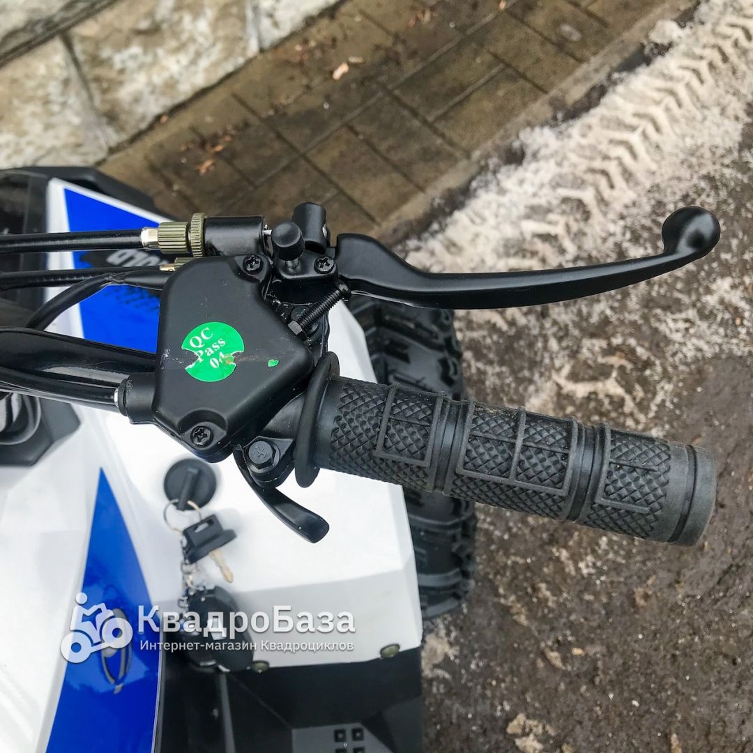 Детский бензиновый квадроцикл Yacota Raposa