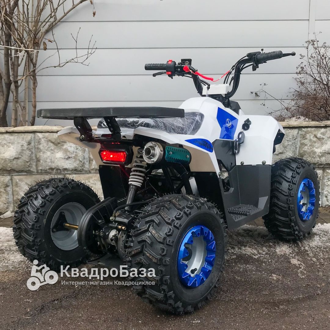 Детский бензиновый квадроцикл Yacota Raposa