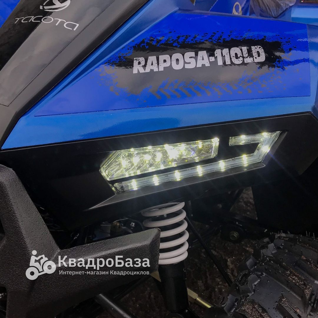 Детский бензиновый квадроцикл Yacota Raposa