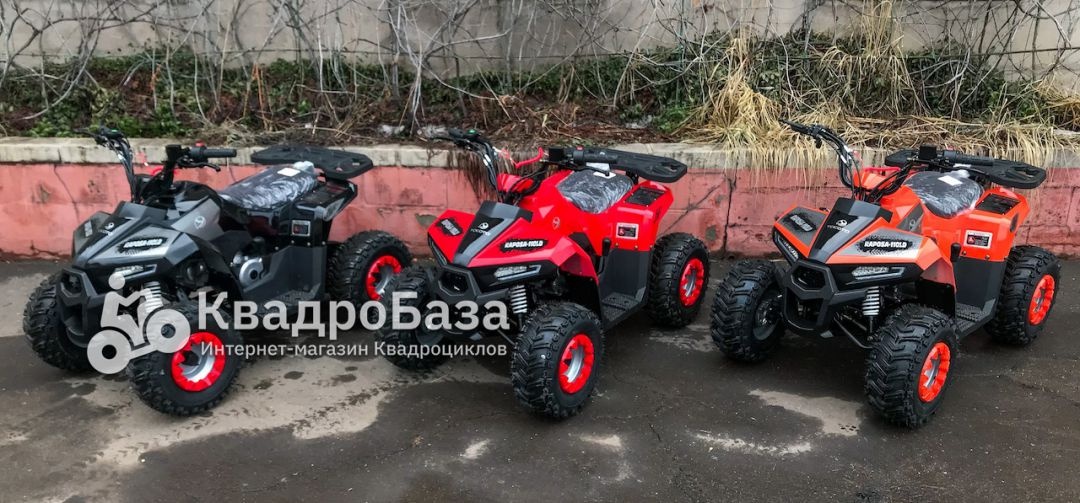 Детский бензиновый квадроцикл Yacota Raposa