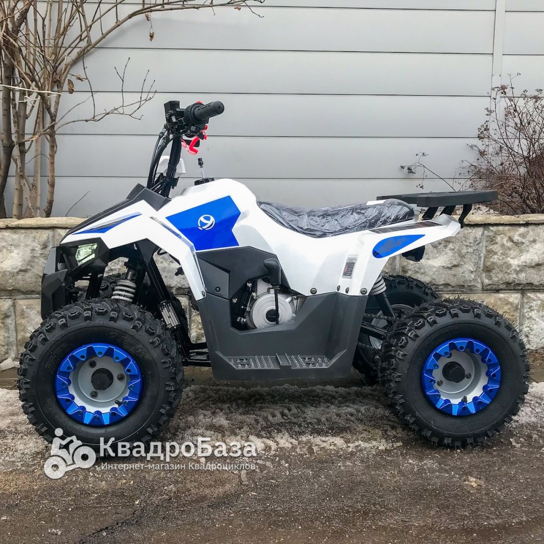 Детский бензиновый квадроцикл Yacota Raposa