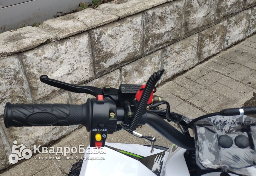 Детский квадроцикл на бензине Motax Gekkon 70cc 1+1 (Реверс)