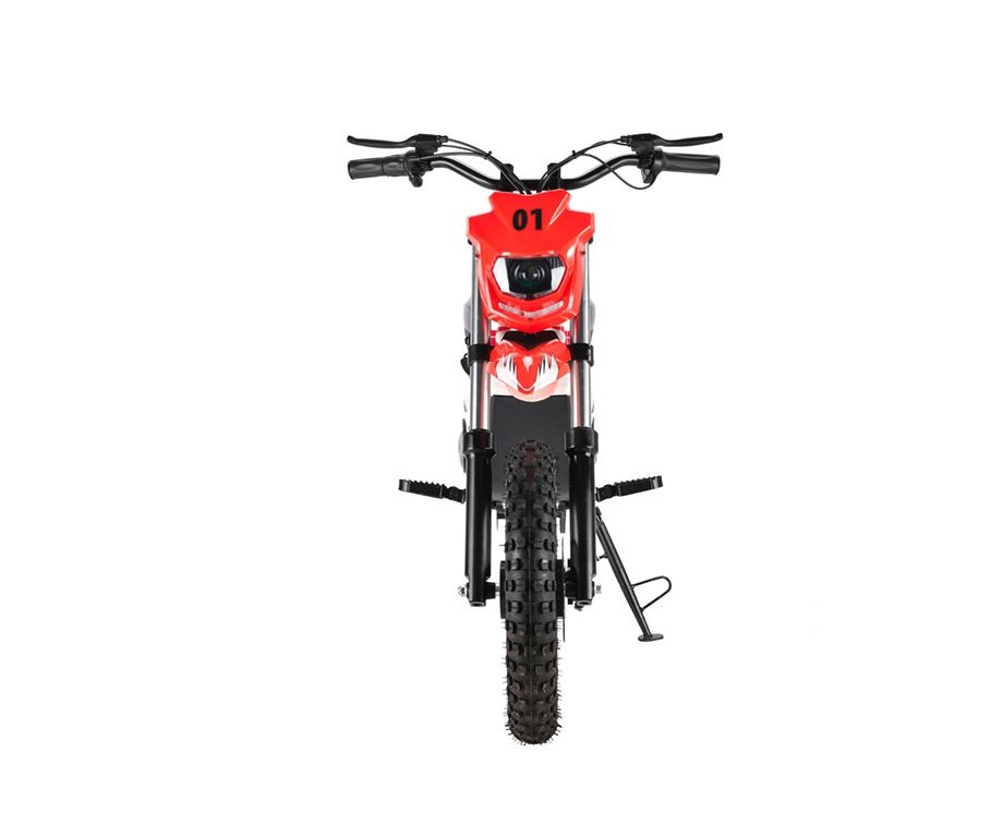 Электромотоцикл WHITE SIBERIA SOCHI 1300W