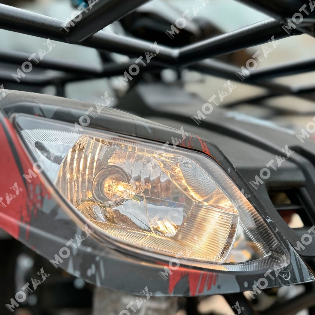 Квадроцикл Motax Grizlik 200 Lux