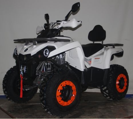 Квадроцикл бензиновый MOTAX ATV Grizlik 200 Ultra