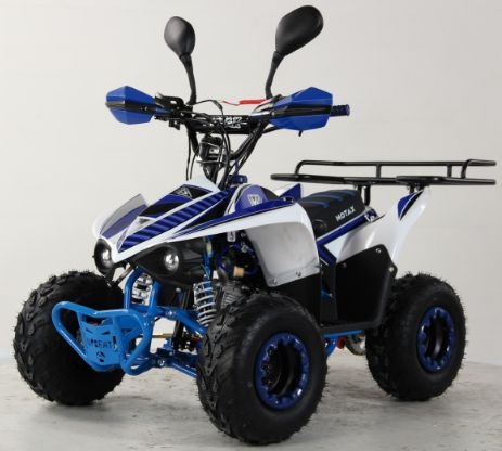 Квадроцикл бензиновый MOTAX MIKRO 110 NEW
