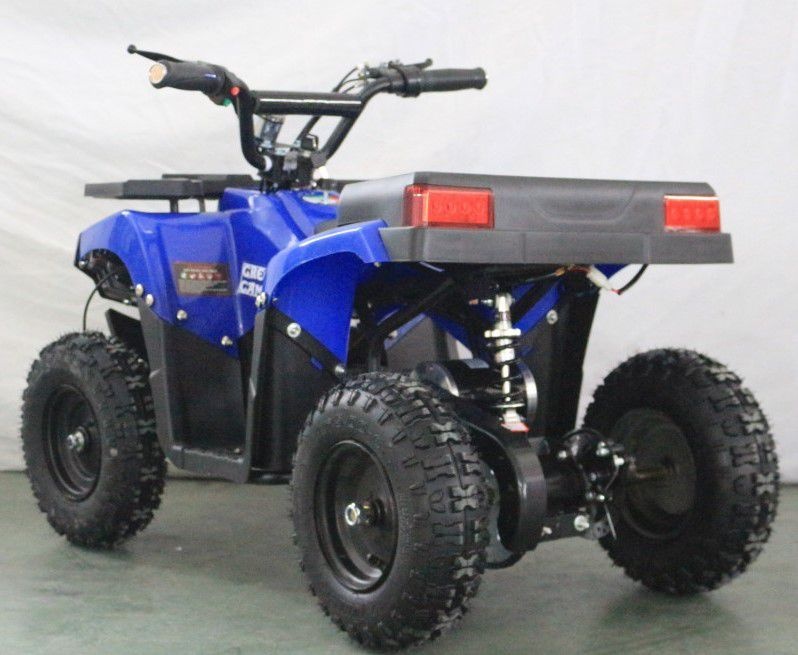 Детский электроквадроцикл GreenCamel Гоби K24 (36V 800W R6 Цепь)