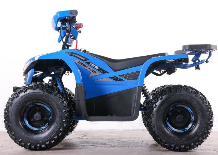 Квадроцикл GreenCamel Гоби K90 (48V 750W R7 Дифф) TaoTao app LUX