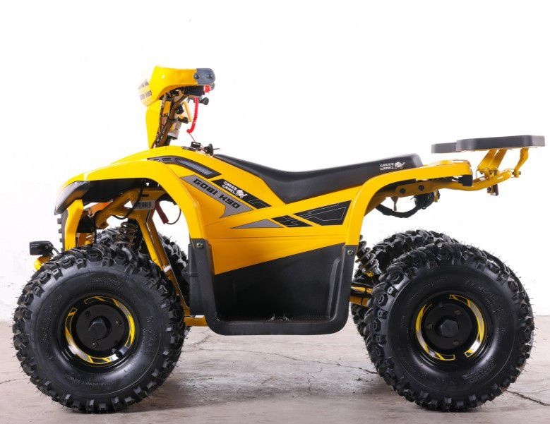 Квадроцикл GreenCamel Гоби K90 (48V 750W R7 Дифф) TaoTao app LUX